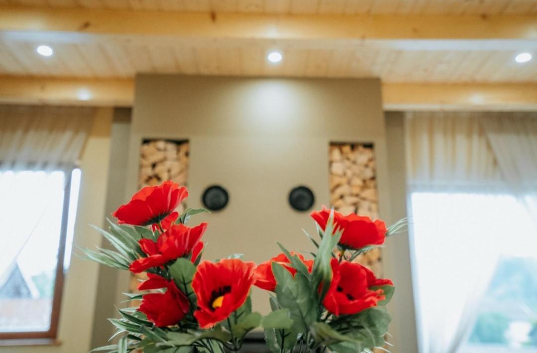 Casa Daviden Hotel Moisei Luaran gambar